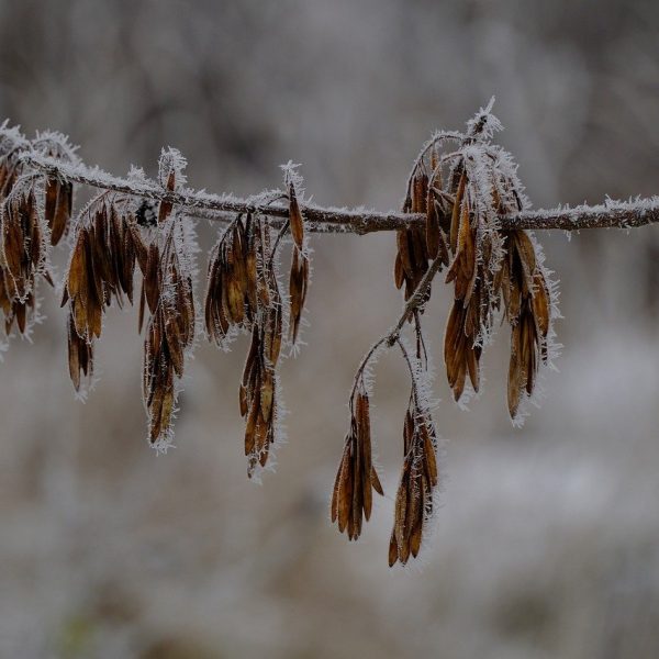 amidst record climate havoc seeds of progress emerge in 2025