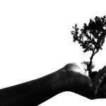 ecb holds rates steady amid persistent inflation concerns and stagnant growth