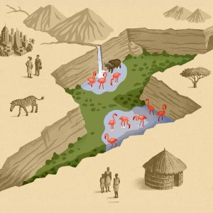 kenyas great carbon valley a bold risky gambit in the global climate fight